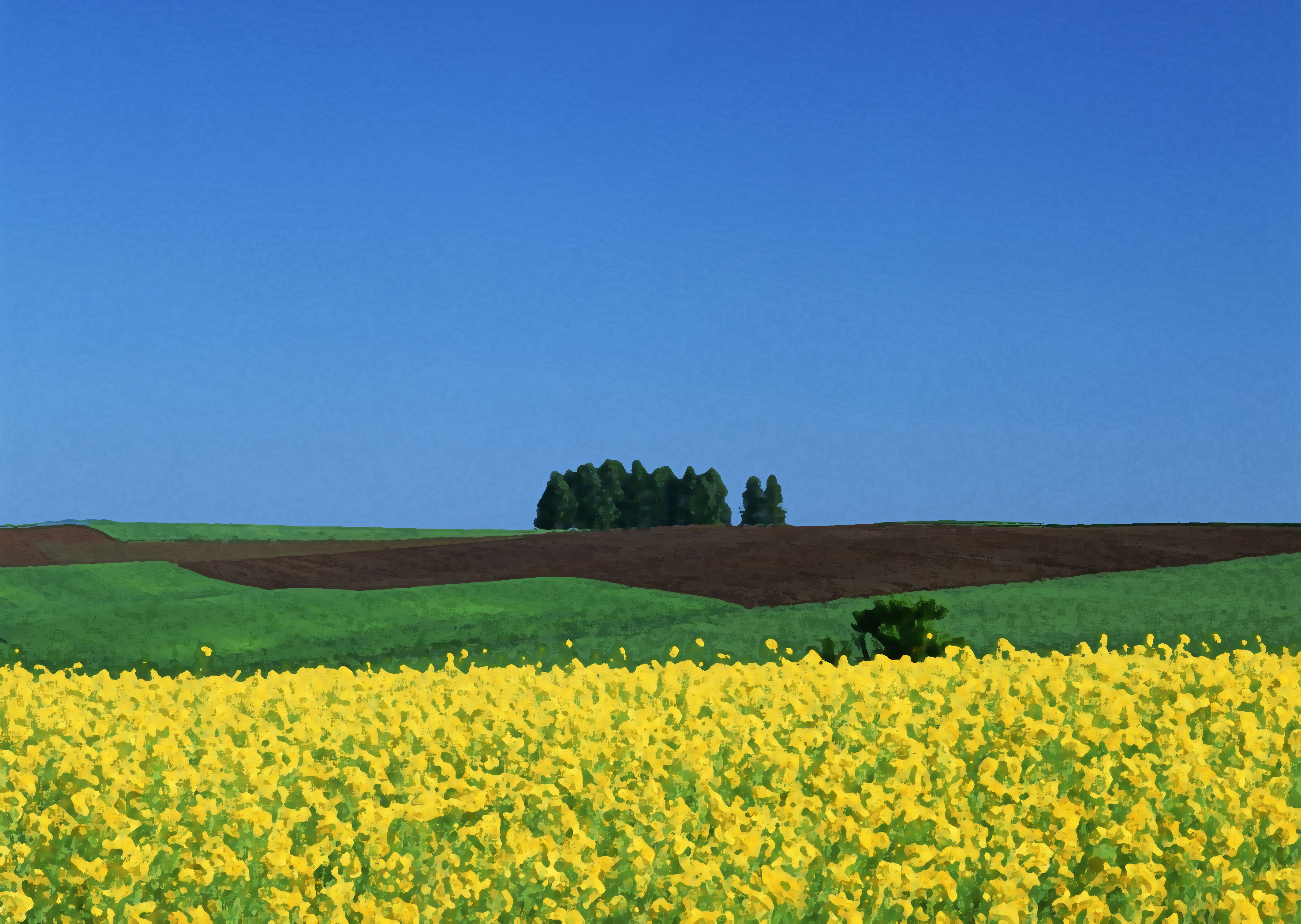 花のイラスト フリー素材 壁紙 背景no 484 黄色い花畑 青い空