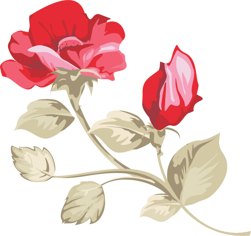 リアルタッチな花のイラスト フリー素材 No 003 赤いバラと葉 横アングル