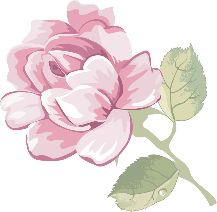 薔薇のイラスト見本-紫色のバラ-横
