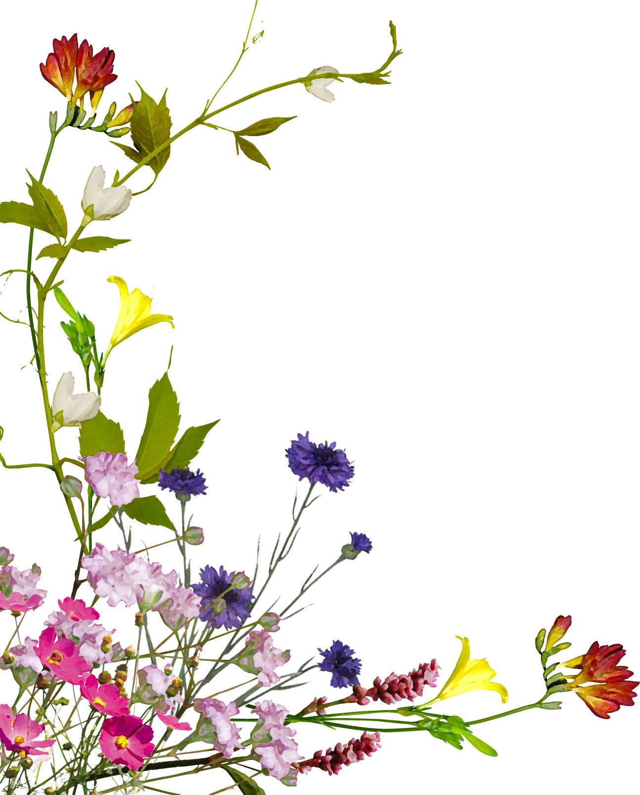 花のイラスト コーナーライン 角 無料のフリー素材集 百花繚乱