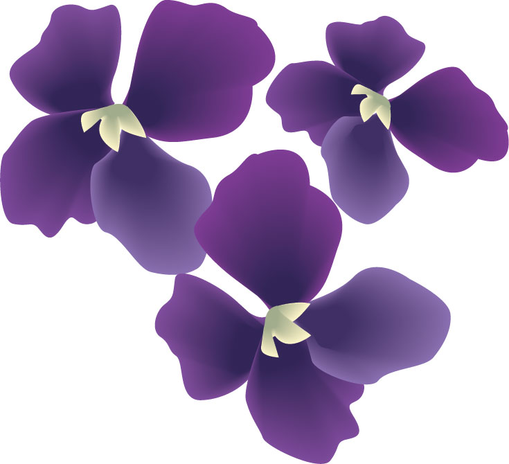 紫色花のイラスト-すみれ