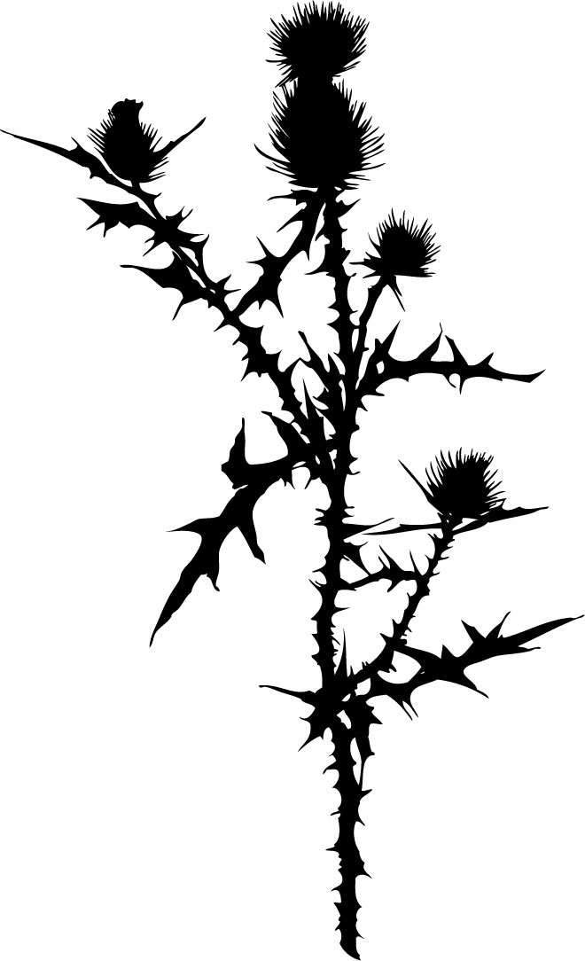 花のイラスト フリー素材 白黒 モノクロno 599 白黒イバラ
