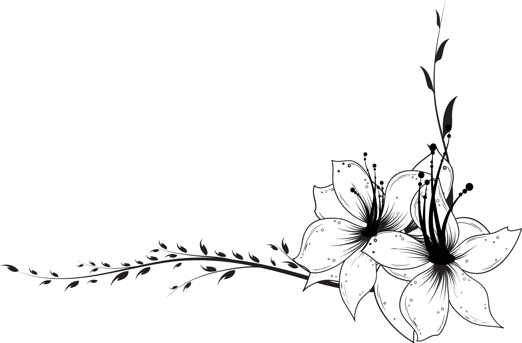 白い花のイラスト フリー素材 No 276 角素材 ユリ