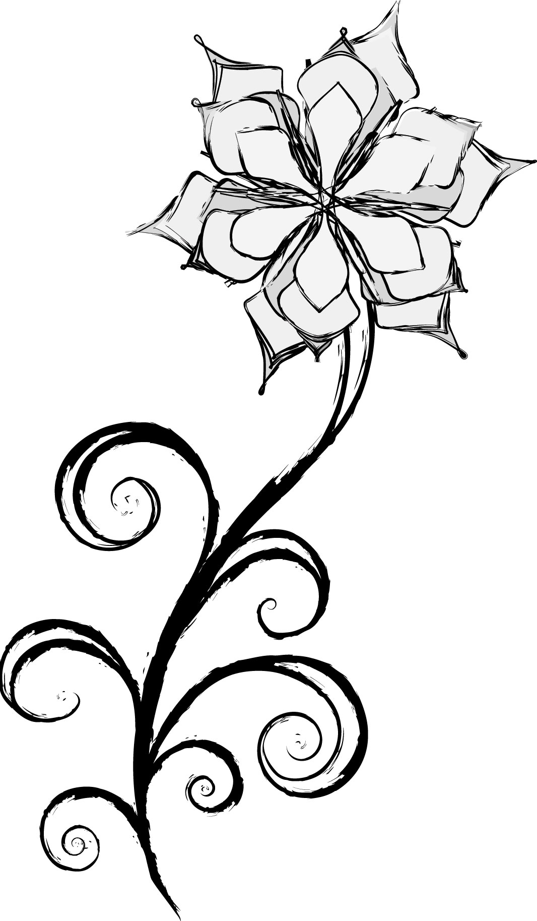 白黒の花のイラスト-手書き風イラスト