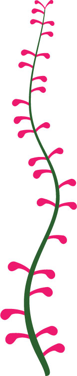 可愛い花のイラスト-茎枝