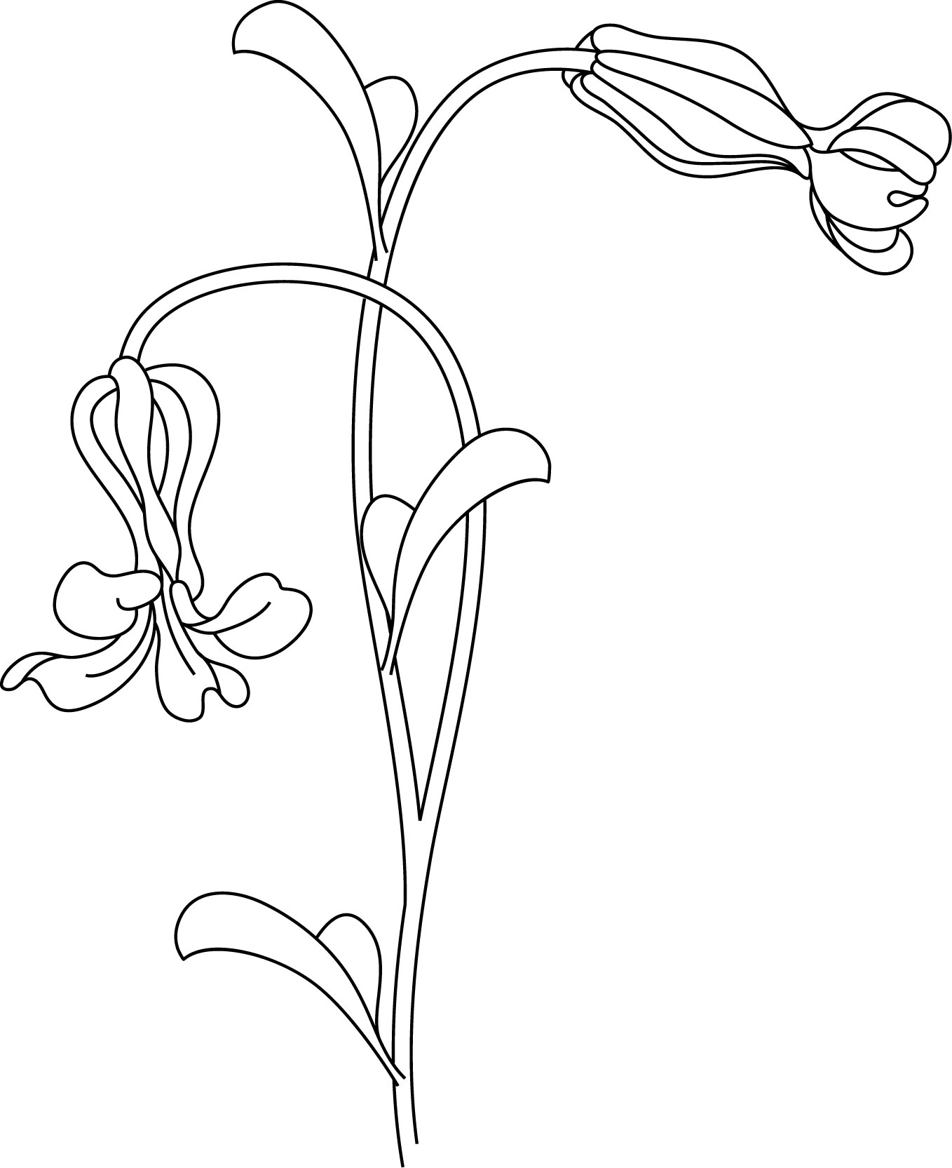 白黒の花のイラスト-花のイラスト１