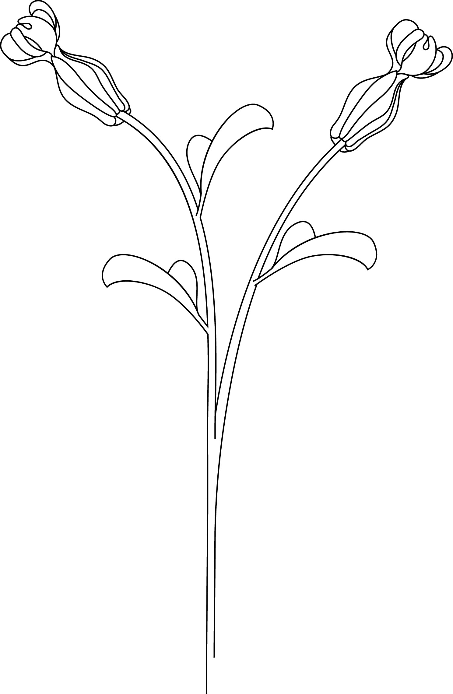 白黒の花のイラスト-花のイラスト４