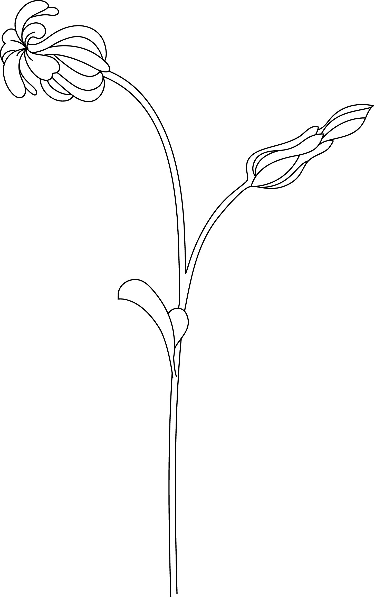 白黒の花のイラスト-花のイラスト５