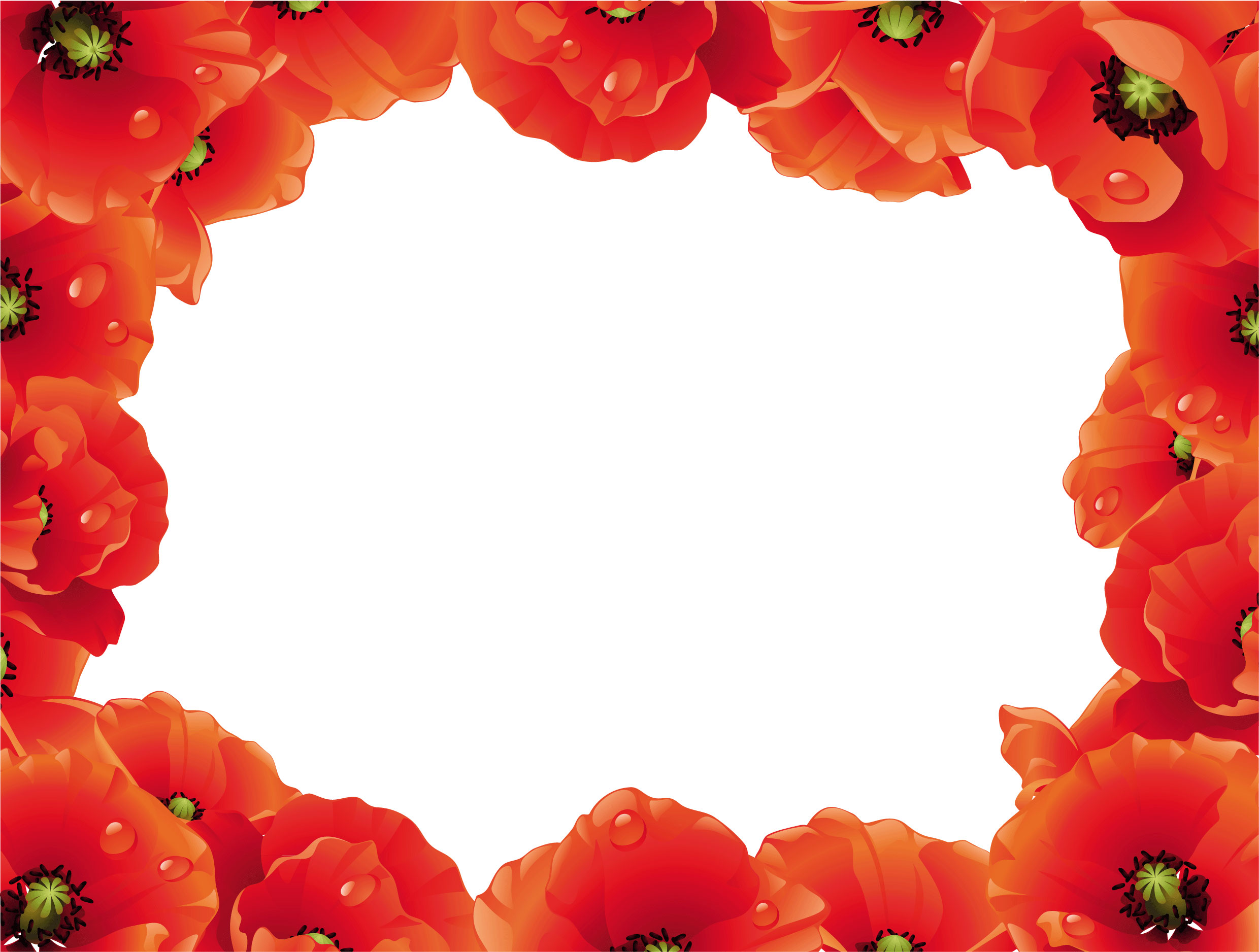 花のイラスト フリー素材 フレーム枠no 679 赤い花