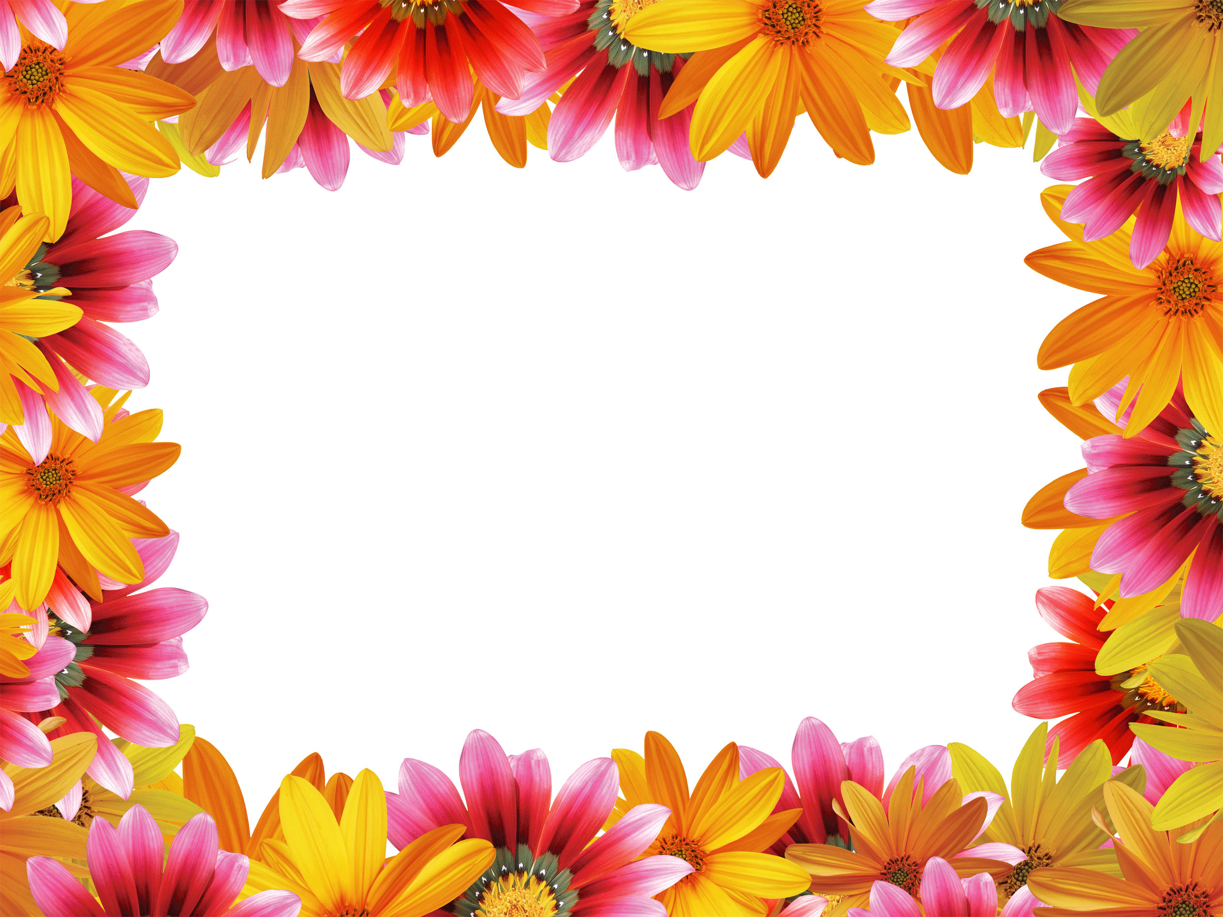 花や葉の写真 画像 フリー素材 フレーム枠no 1124 赤と黄の花