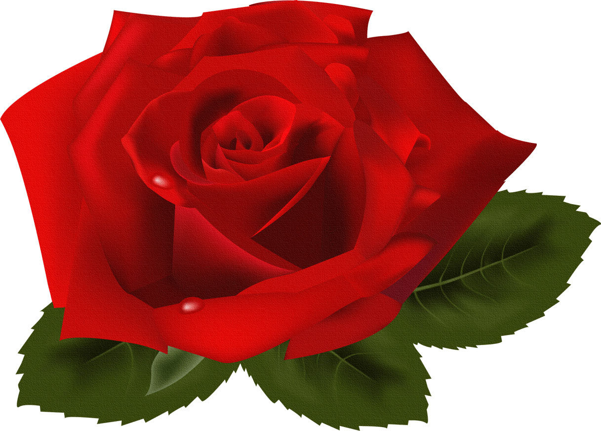 薔薇のイラスト見本-赤いバラと葉