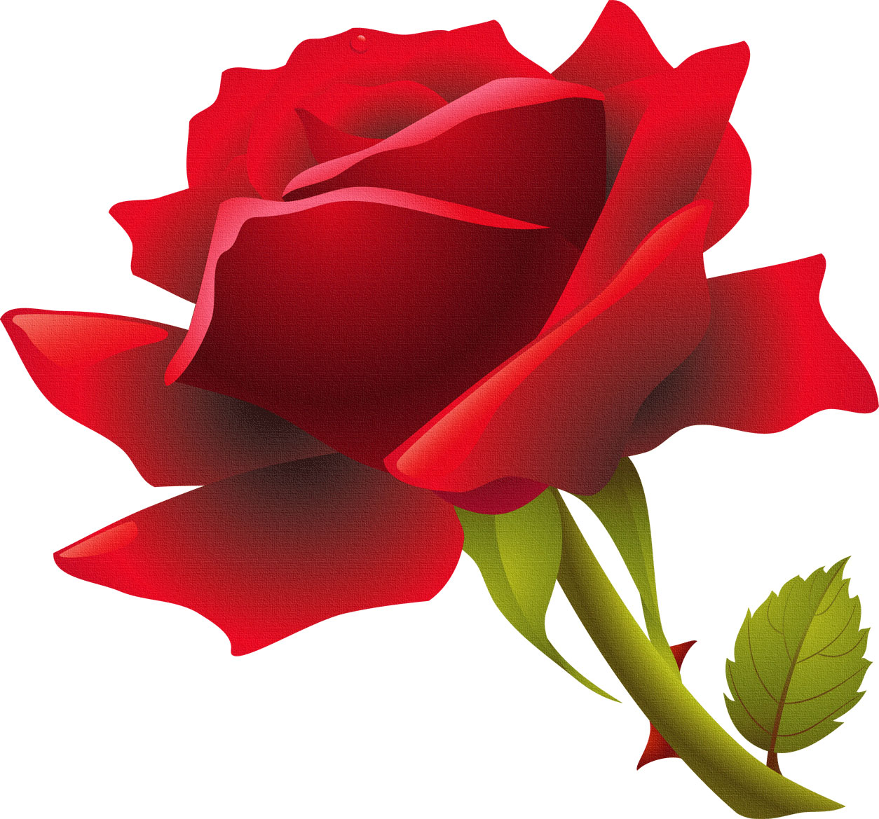 薔薇のイラスト見本-赤いバラと茎