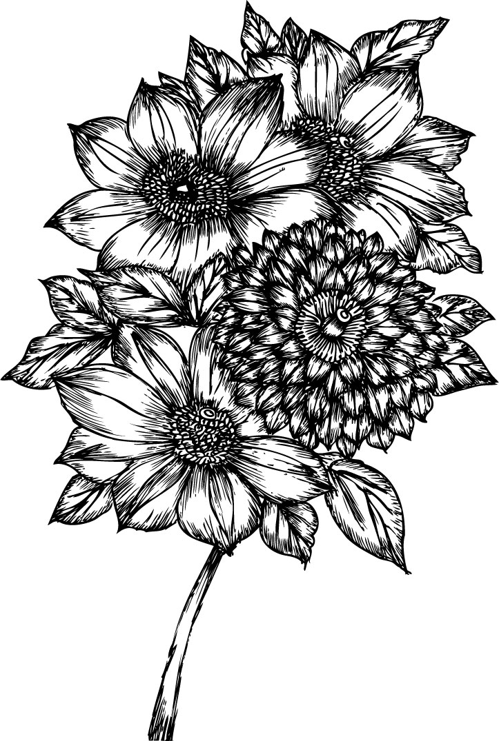 リアルな花のイラスト フリー素材 白黒 モノクロno 1978 手書き風