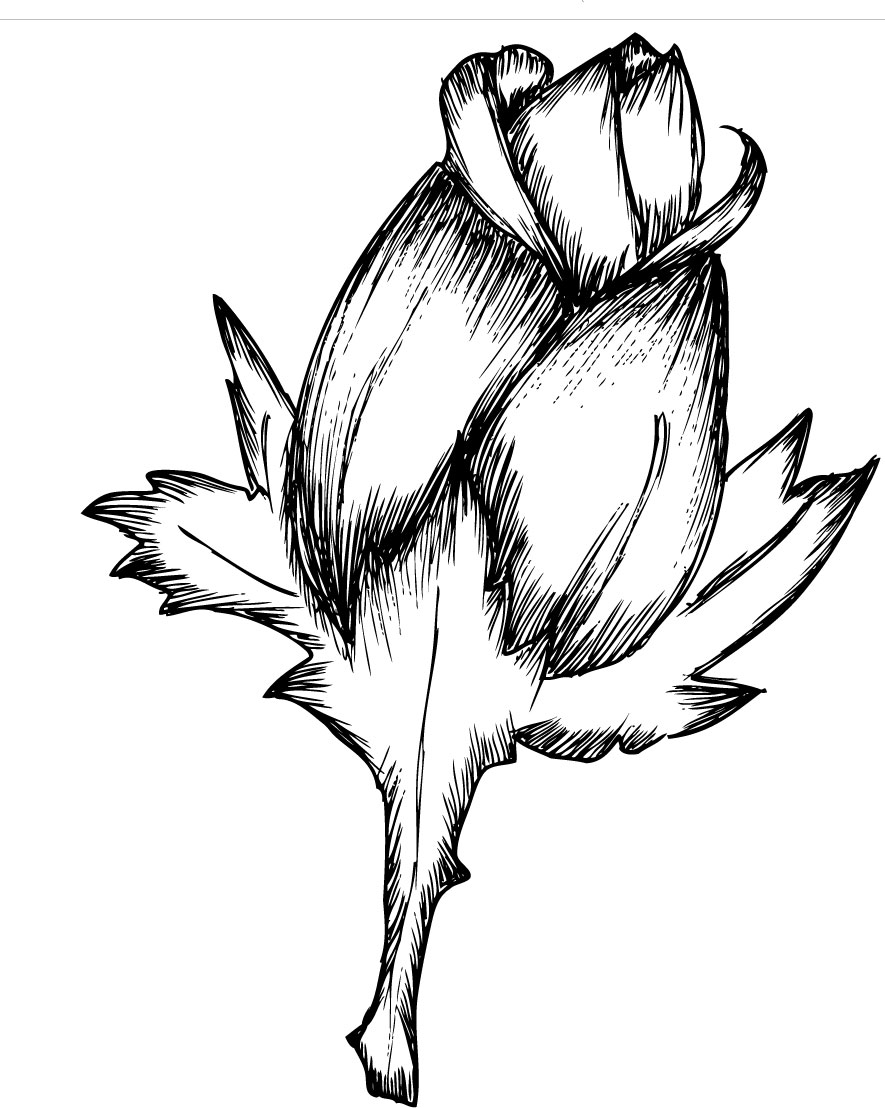 白黒の花のイラスト-手書き風