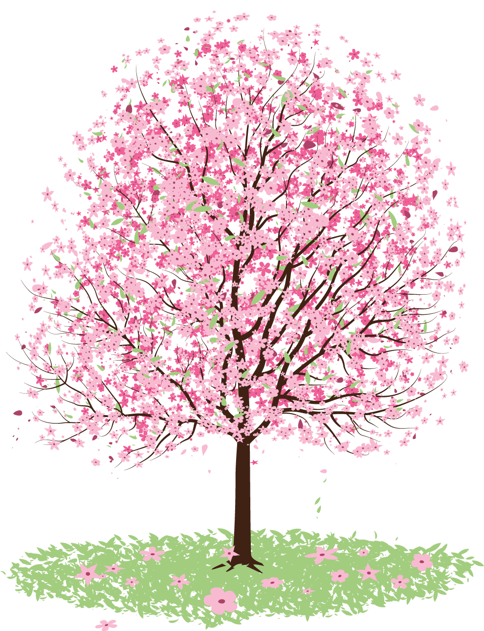 リアルタッチな花のイラスト フリー素材 No 1049 桜の木