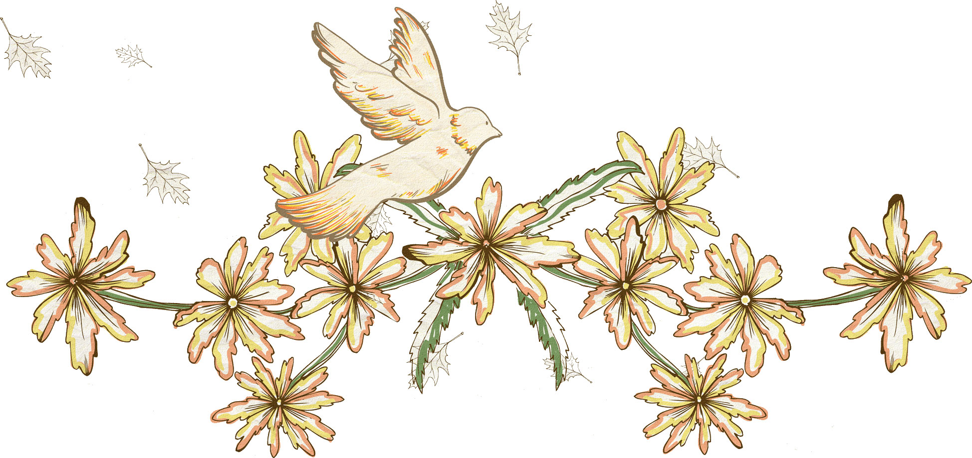 花のライン線イラスト-花と鳥