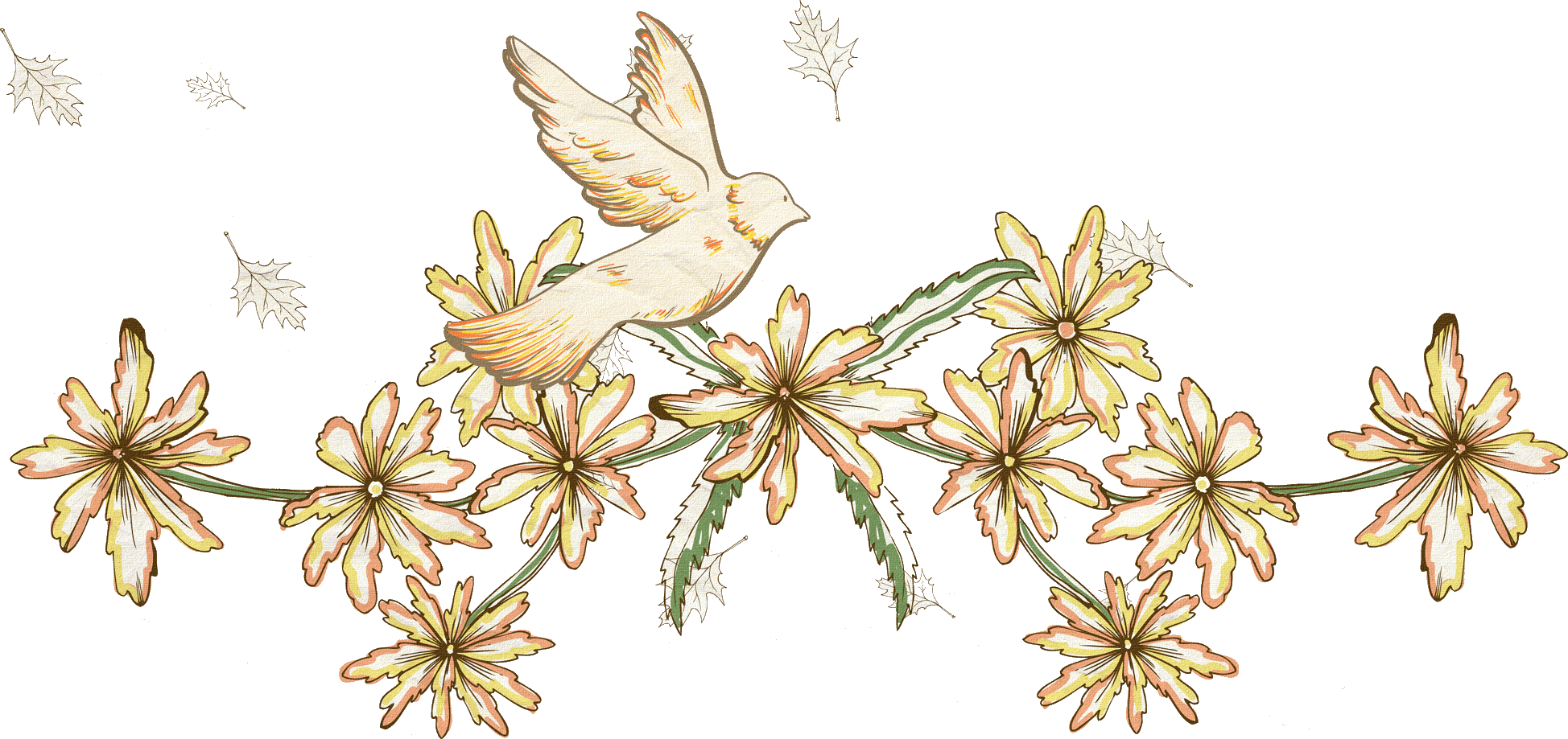 白い花のイラスト フリー素材 No 294 花と鳥