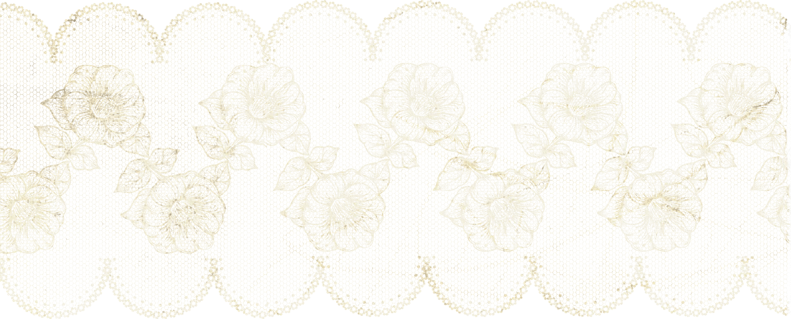 花のイラスト フリー素材 フレーム枠no 049 バラのレース