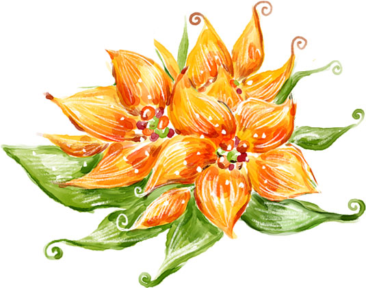 リアルな花のイラスト-オレンジフラワー