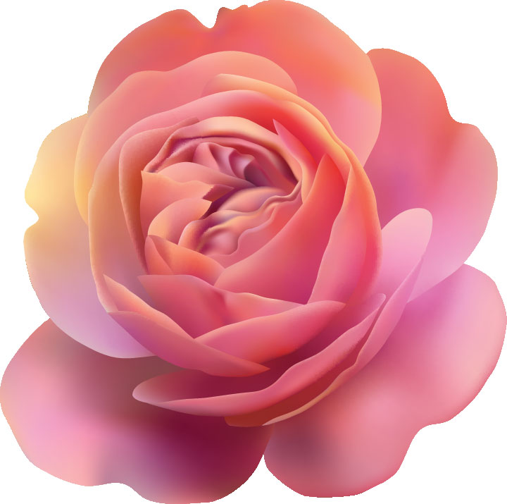 薔薇のイラスト見本-光沢のあるバラ