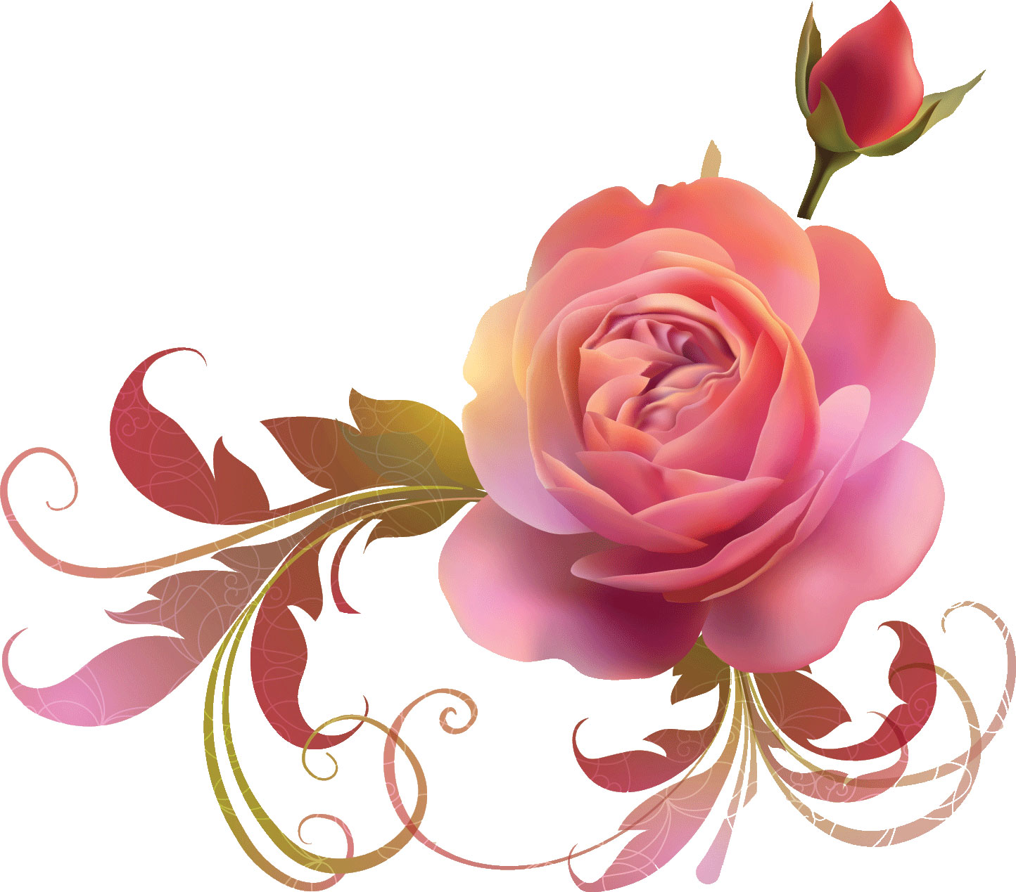 薔薇のイラスト見本-光沢のあるバラ