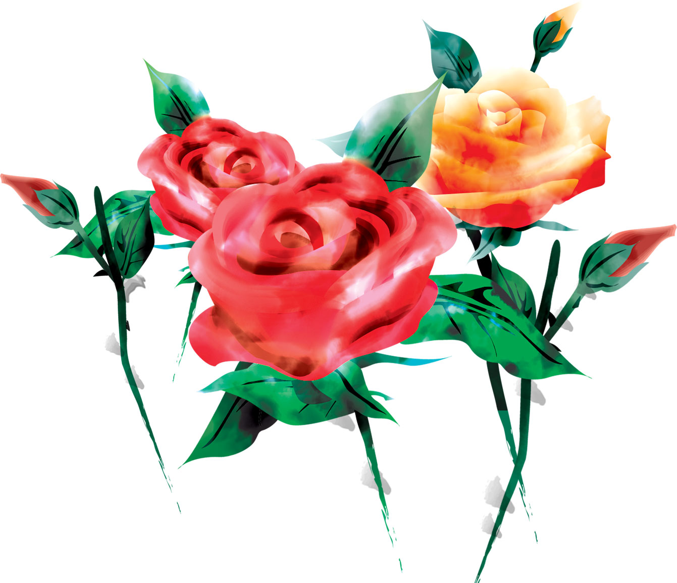 薔薇のイラスト見本-赤と黄のバラ