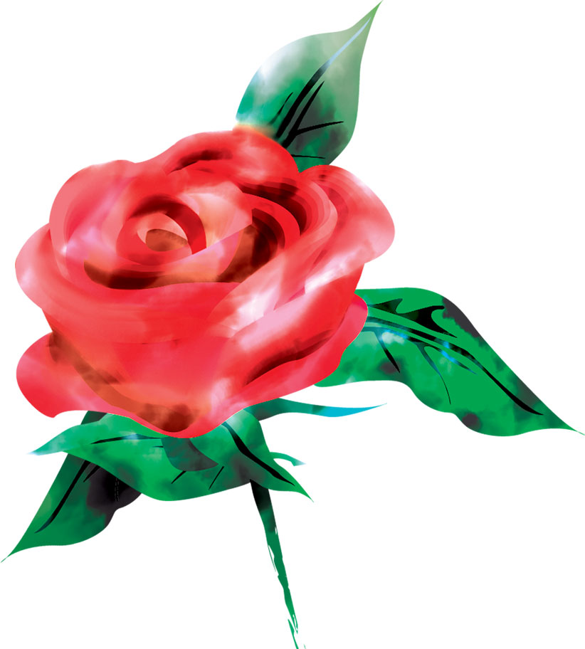 薔薇のイラスト見本-赤いバラ 左向き