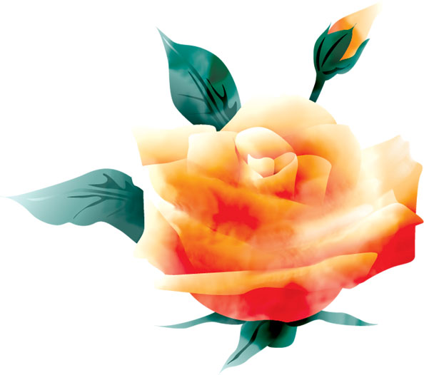 薔薇のイラスト見本-黄色いバラ