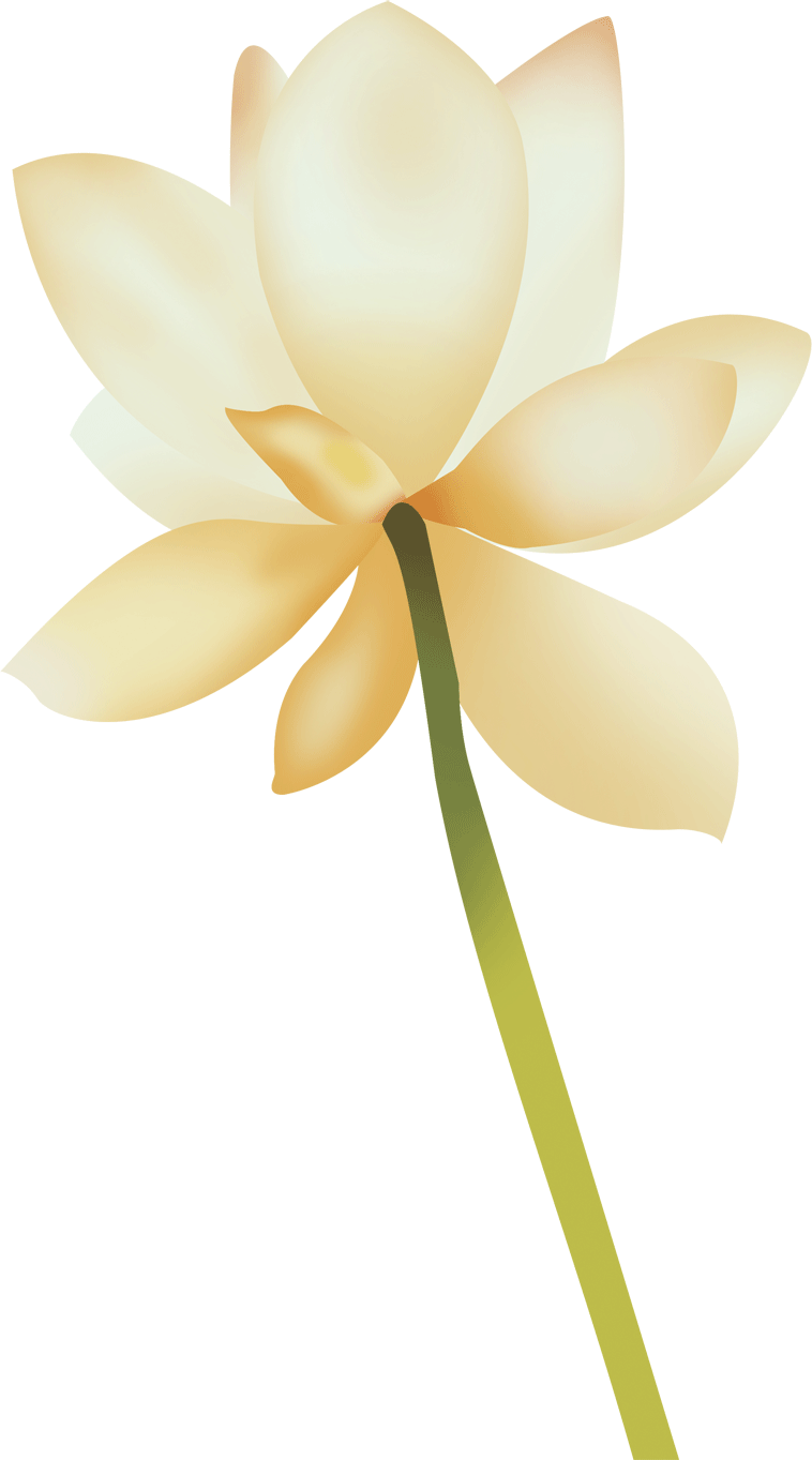 白い花のイラスト フリー素材 No 103 白い花