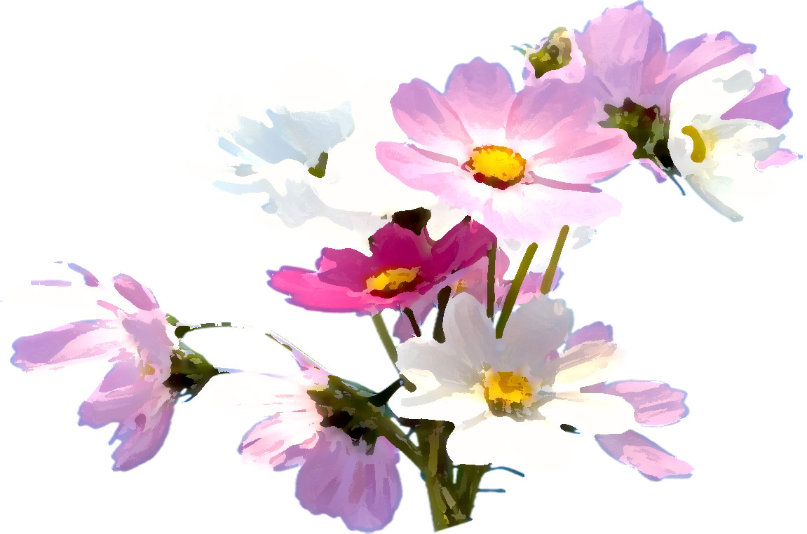 最新のhdかわいい 花 イラスト リアル 美しい花の画像