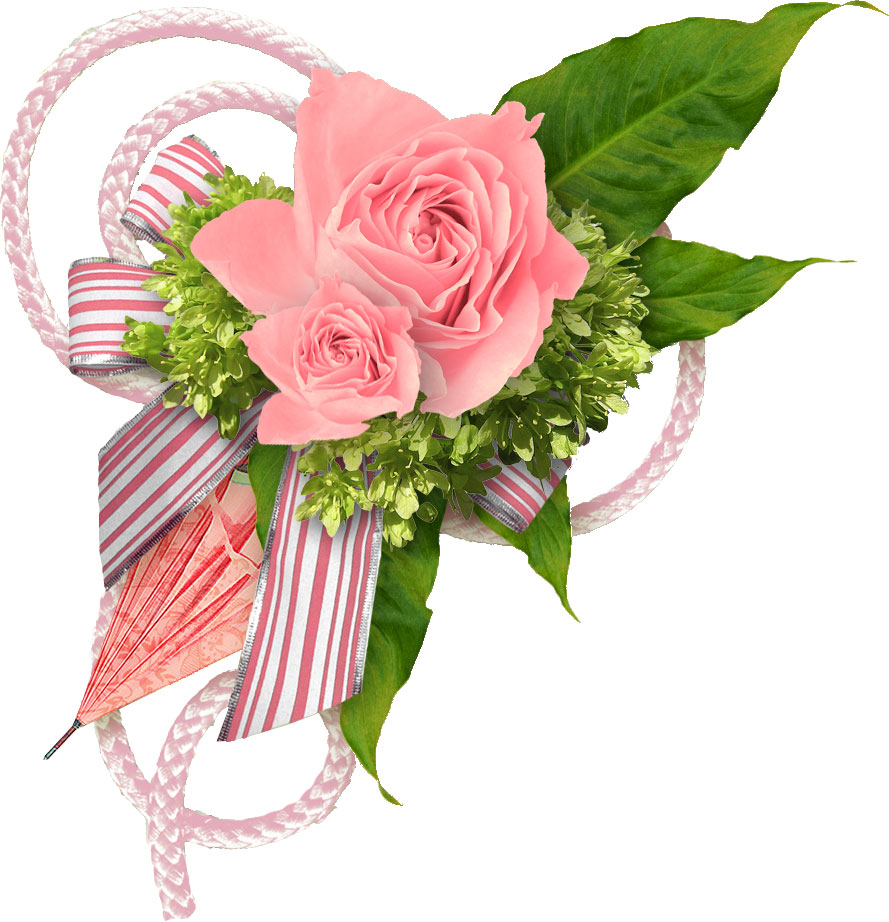 ピンクの花の写真 フリー素材 No 546 バラとリボン