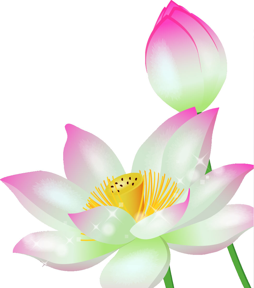 リアルな花のイラスト フリー素材 角 コーナー用no 1467 蓮の花とつぼみ