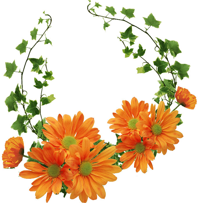 花や葉の写真 画像 フリー素材 フレーム枠no 9 オレンジ 長いツタ