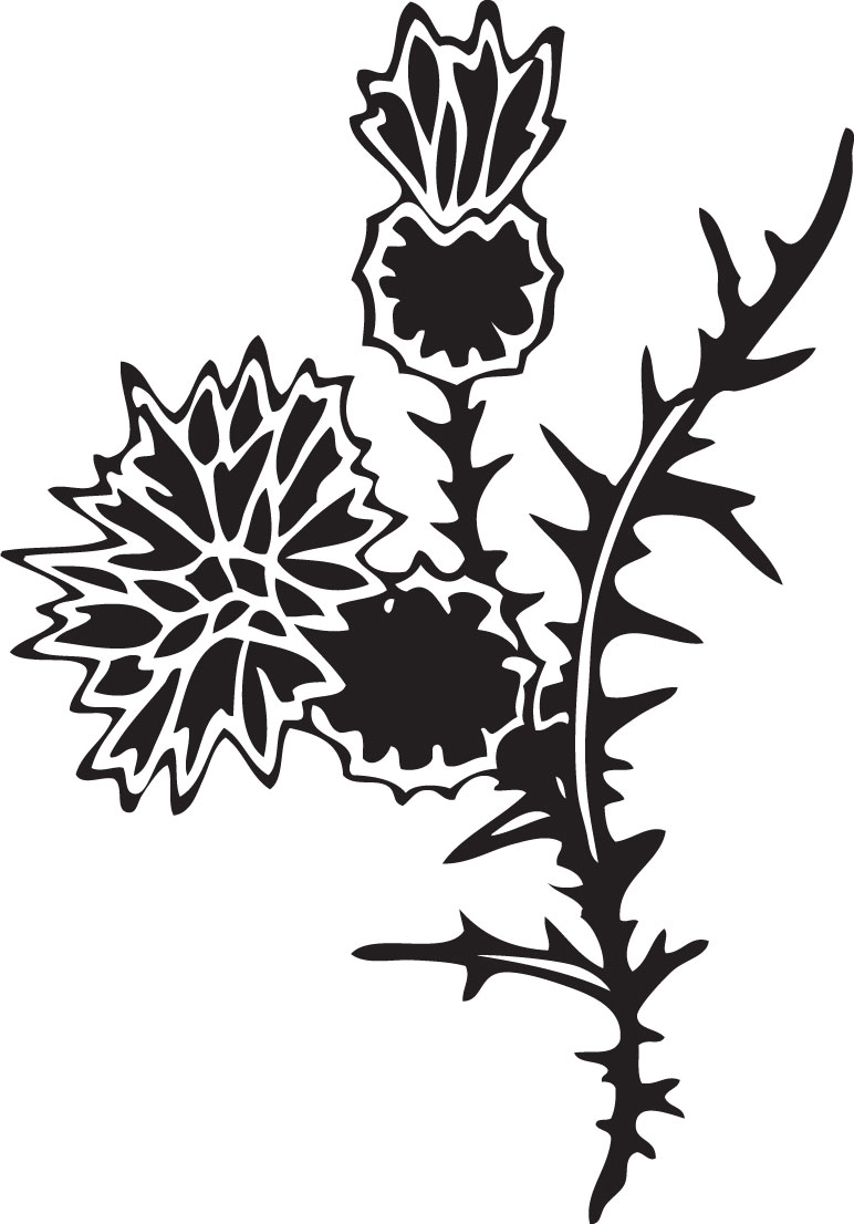 白黒の花のイラスト-ギザギザ