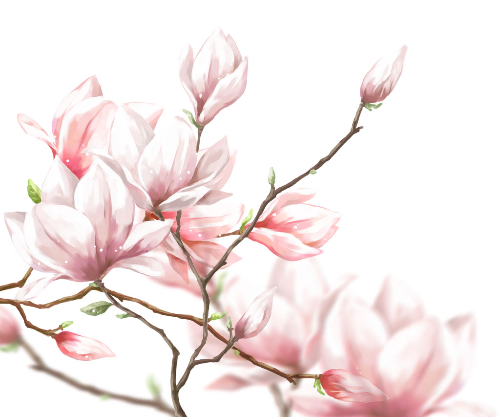 の 花 イラスト 桃