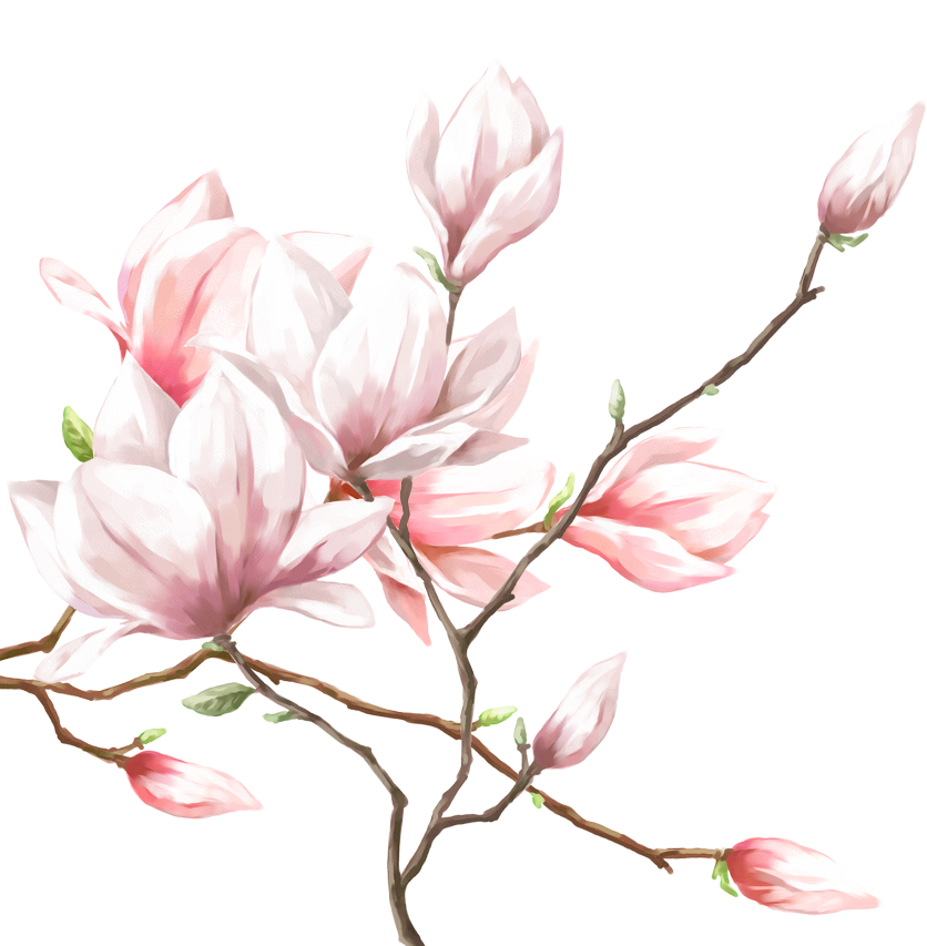 ピンクの花のイラスト フリー素材 No 364 桃の花