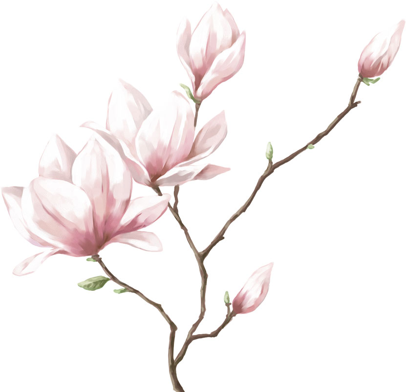 ピンクの花のイラスト フリー素材 No 365 桃の花