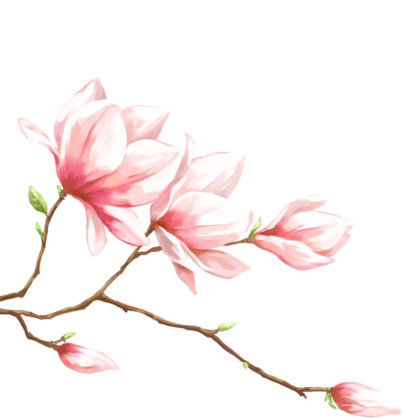 ピンクの花のイラスト フリー素材 No 366 桃の花