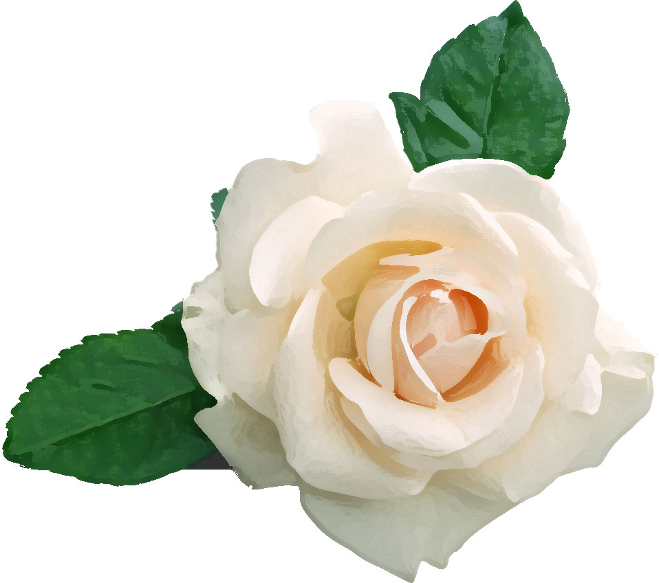 白い花のイラスト フリー素材 No 021 白薔薇と葉