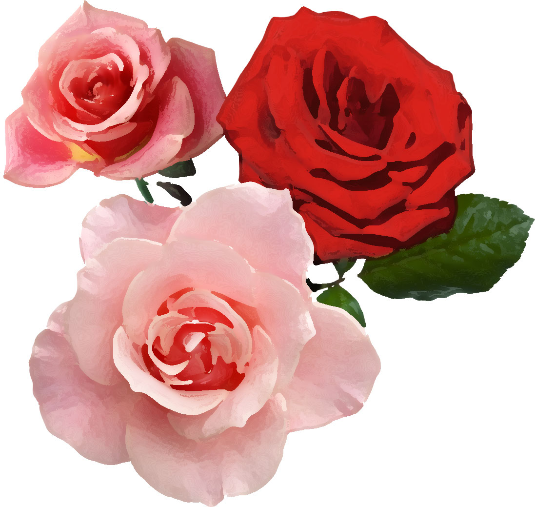 薔薇のイラスト見本-ピンクと赤のバラ