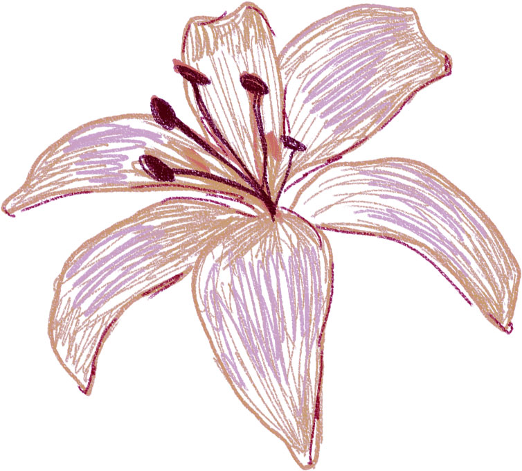 リアルな花のイラスト フリー素材 花一輪no 1632 手書きのユリ 紫