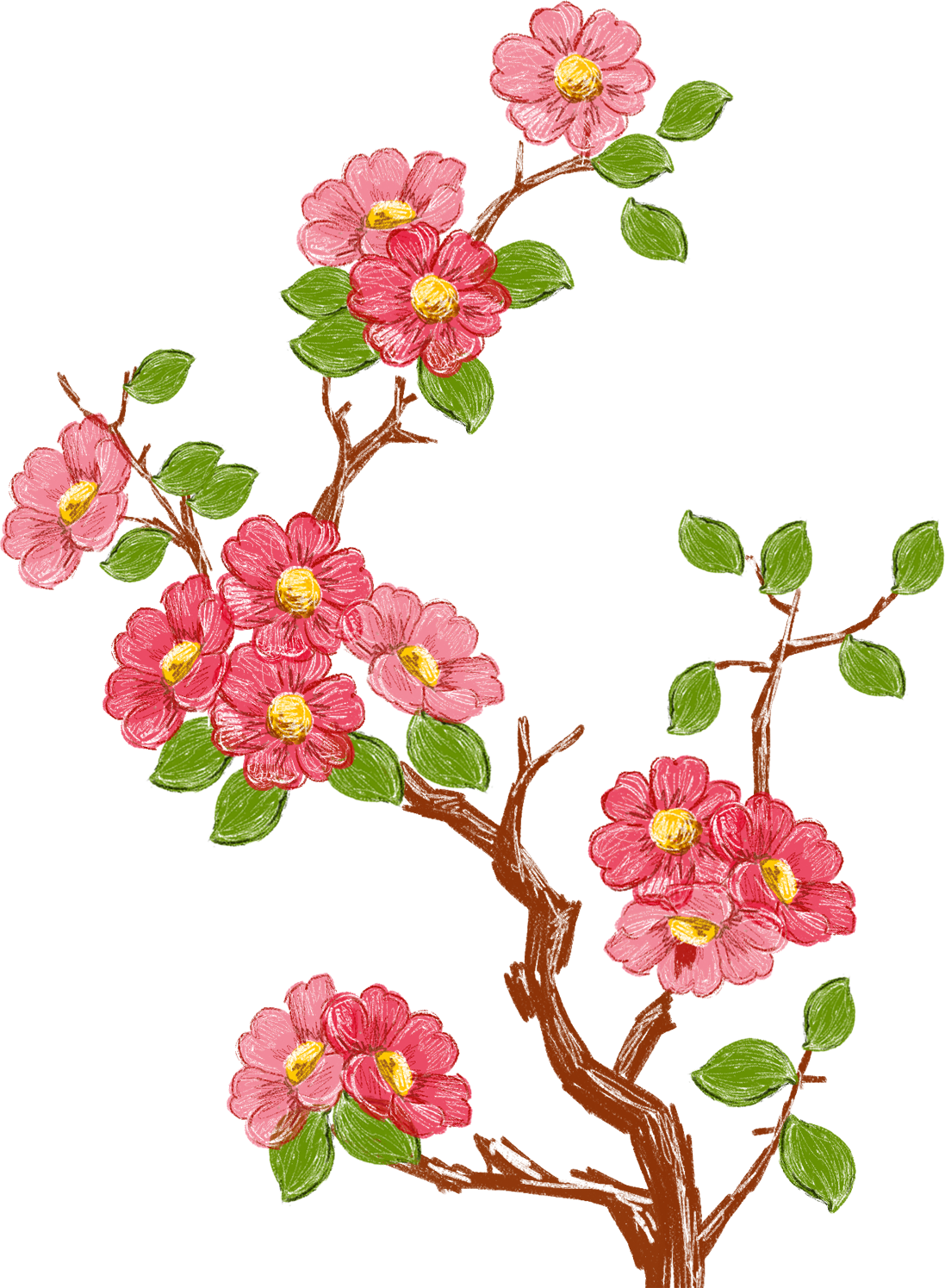 赤い花のイラスト フリー素材 No 673 手書き風 ピンク 枝葉