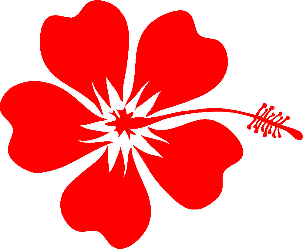 すべての美しい花の画像 無料ダウンロードかわいい 沖縄 花 イラスト