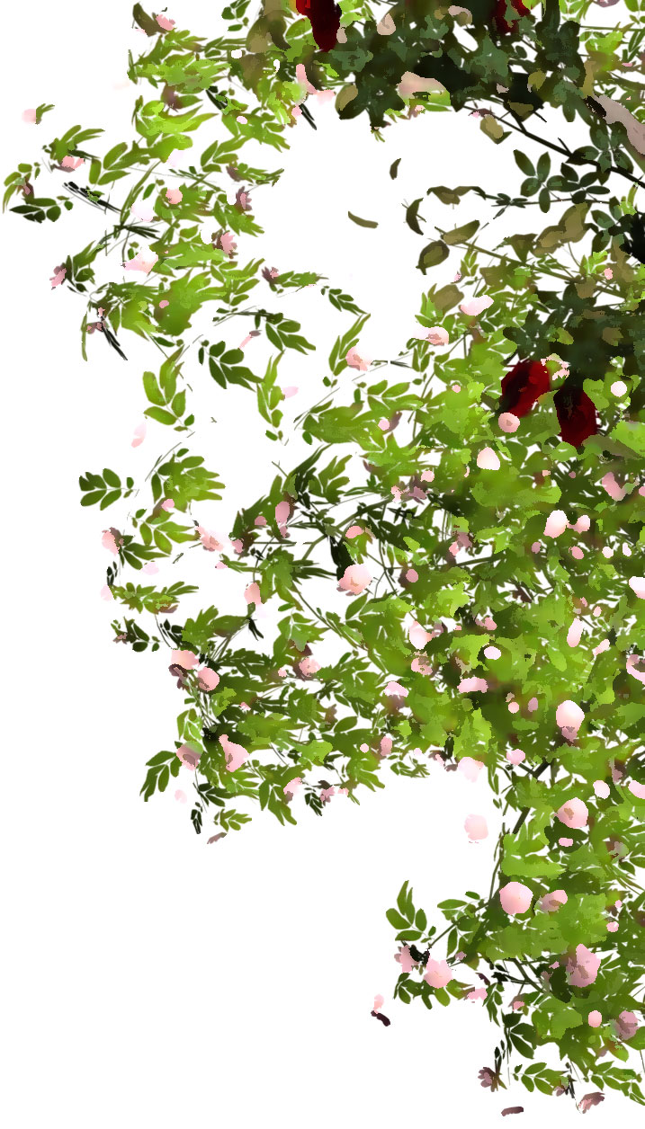 リアルな花のイラスト フリー素材 角 コーナー用no 1476 草花 右 ピンク