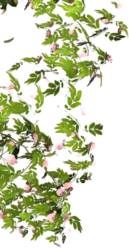 リアルな花のイラスト フリー素材 角 コーナー用no 1477 草花 左 ピンク