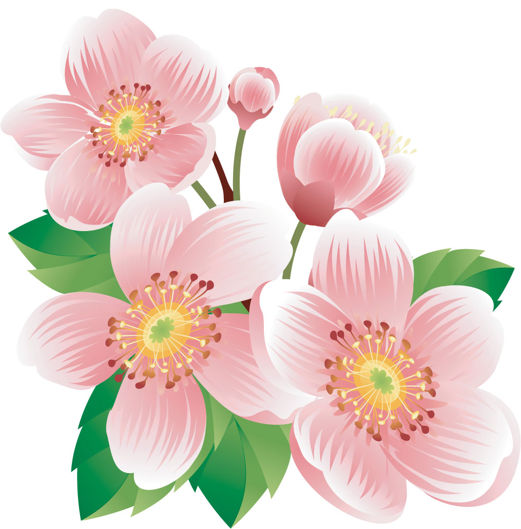 ピンクの花のイラスト フリー素材 No 187 ピンク つぼみ 葉