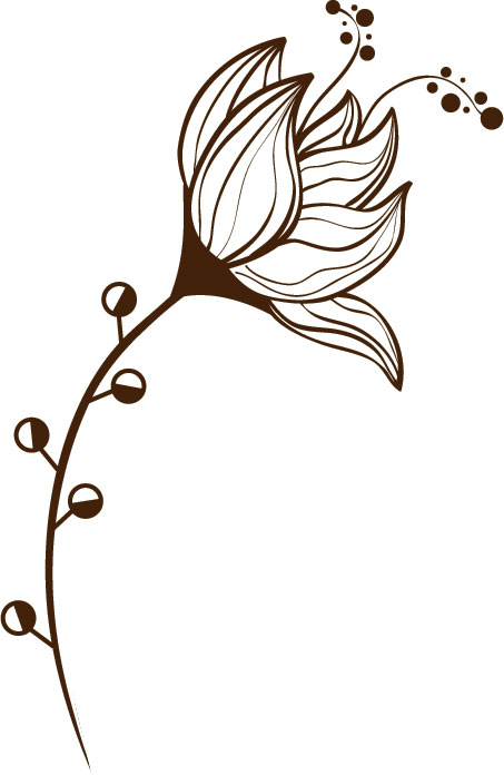 白黒の花のイラスト-白い花・茎・ヒゲ