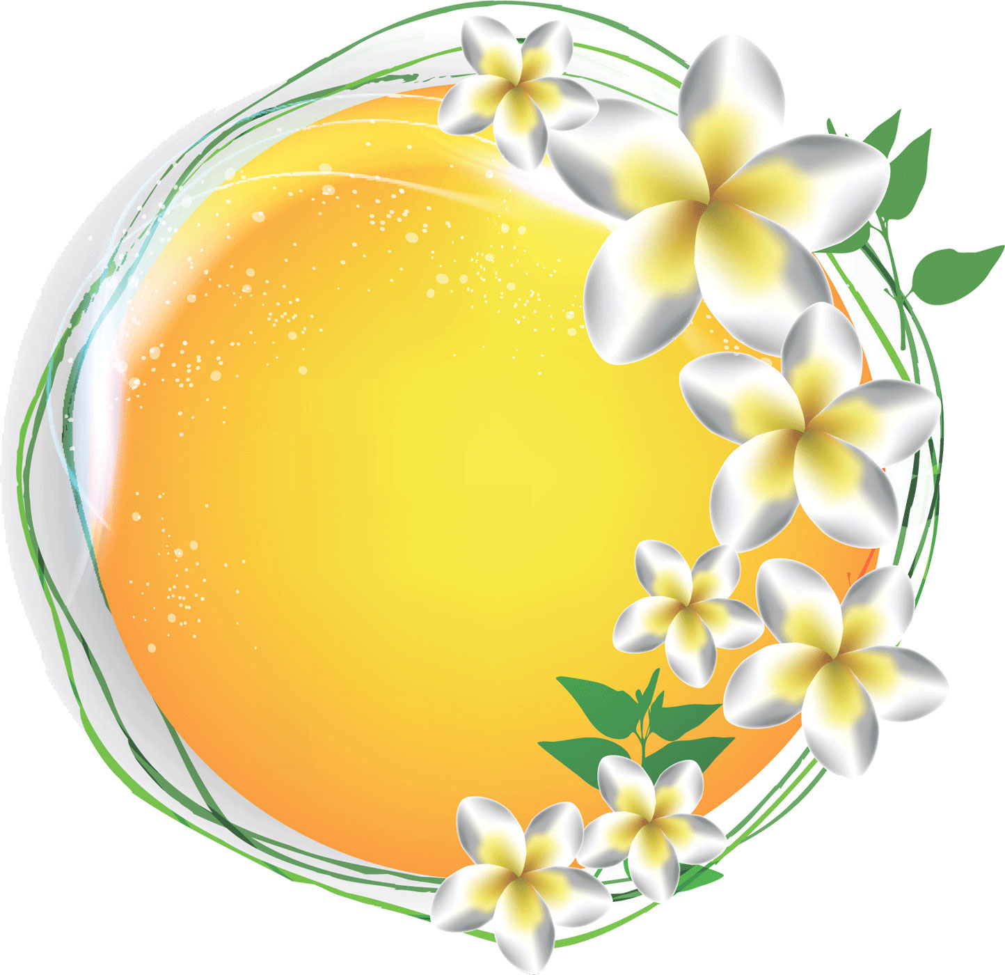 花のフレーム枠イラスト-白黄の花びら