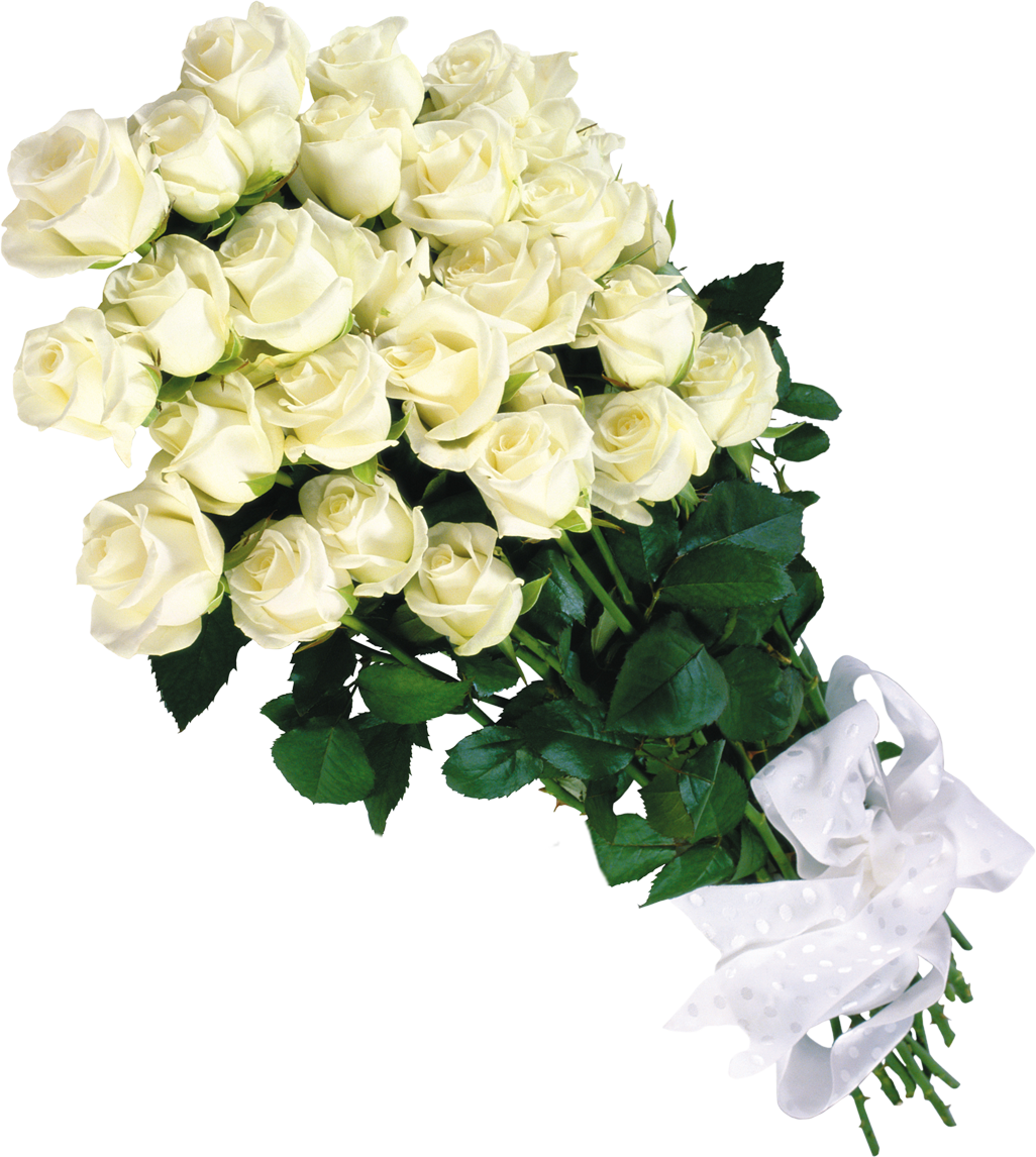 白い花の写真 フリー素材 No 553 白バラの花束