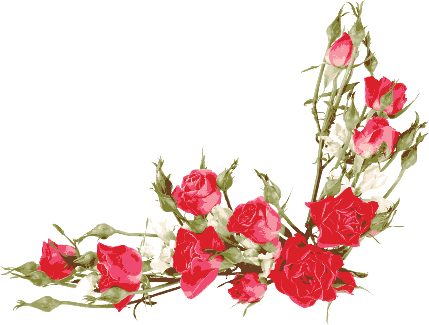 バラの画像 イラスト フリー素材 No 307 赤バラ つぼみ